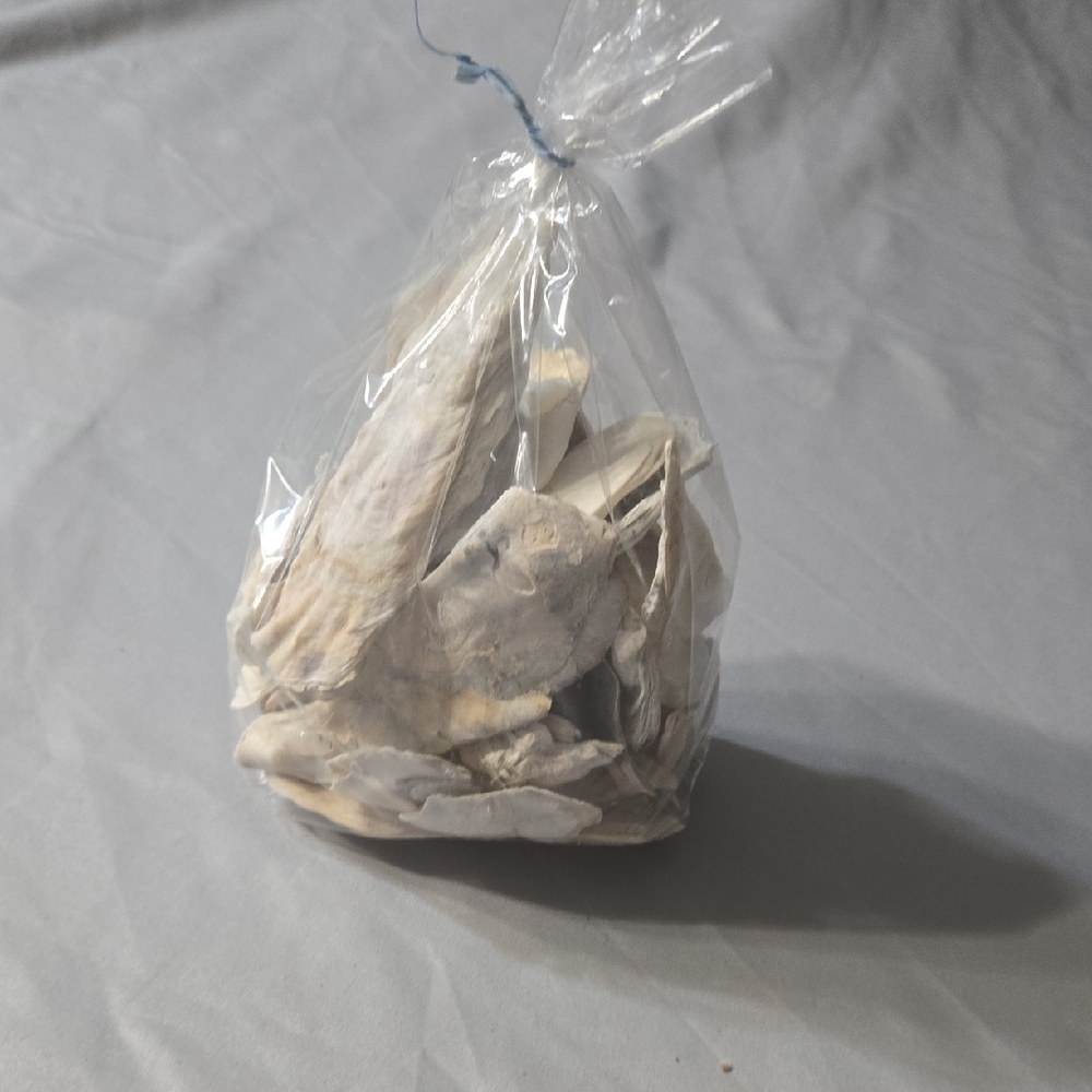 Decorative Oyster Shells in Clear Bag